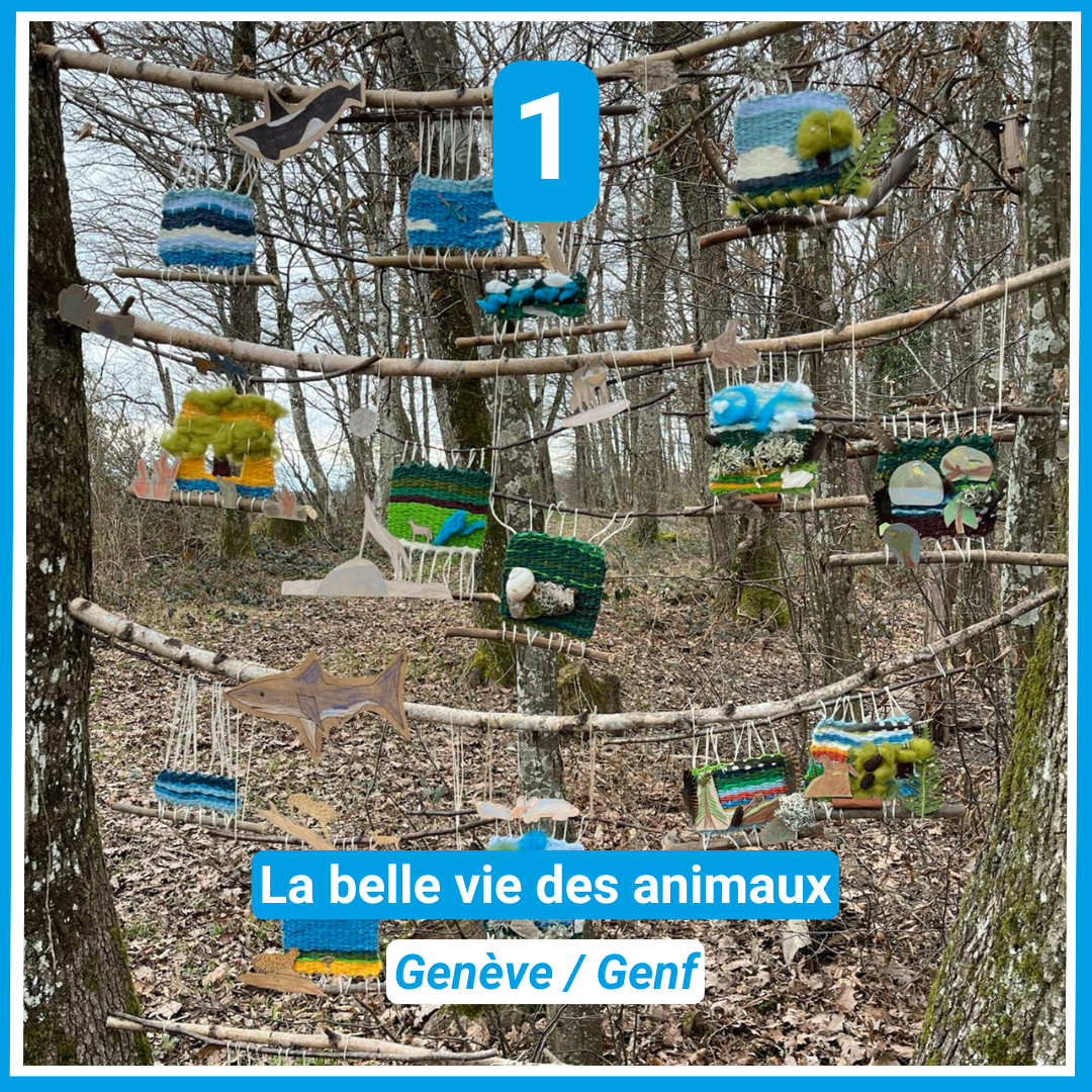 La belle vie des animaux